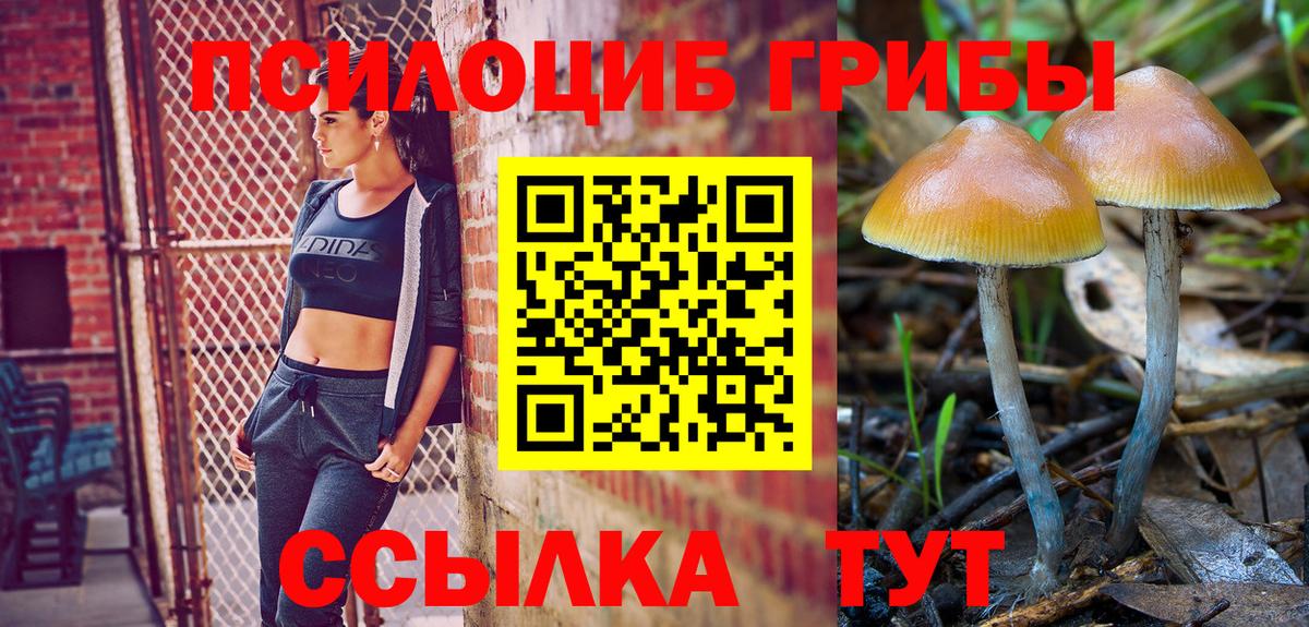 Галлюциногенные грибы Magic Shrooms  Вход с VPN  Самара 