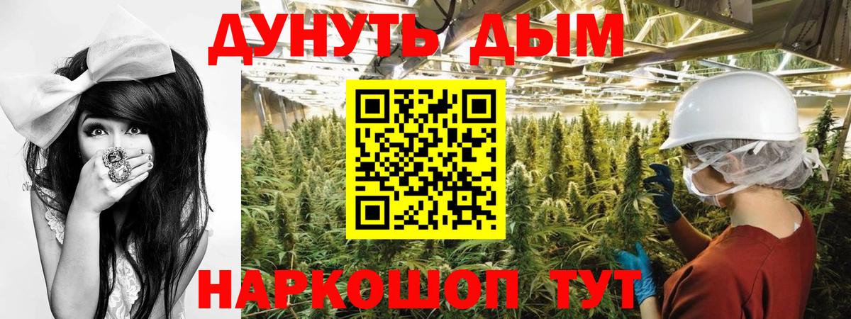 Бошки Шишки ГИДРОПОН  Вход с VPN  Бошки марихуана Bruce Banner  Самара  Конопля White Widow 